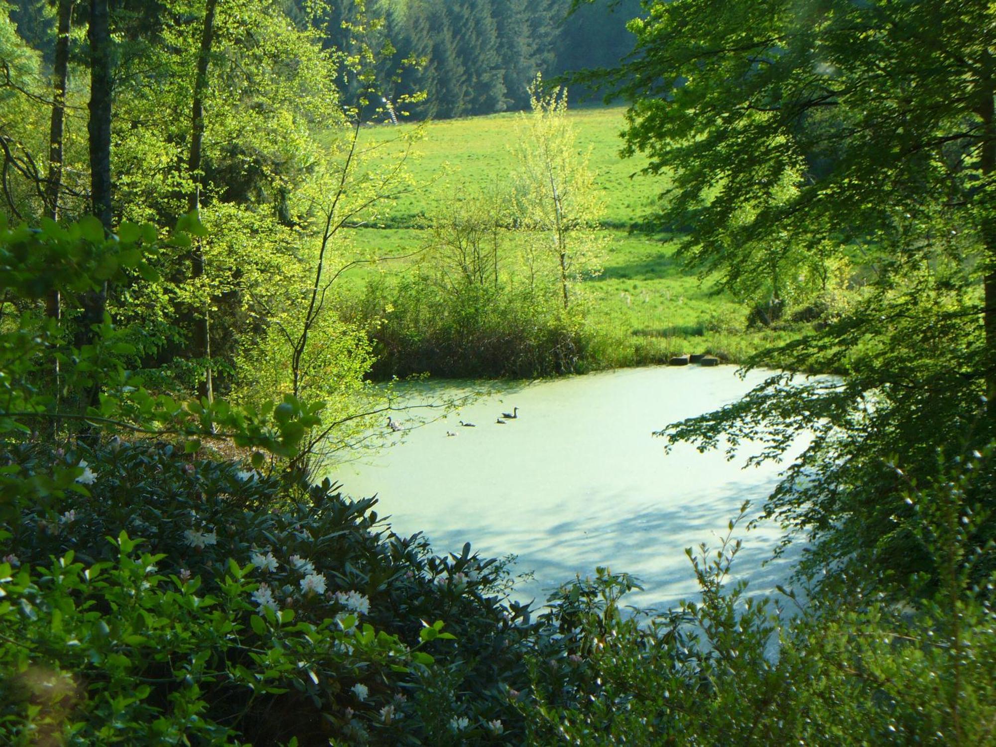 索尔陶 Forstgut Stuebeckshorn旅馆 外观 照片